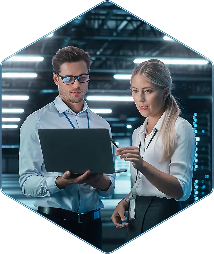 Bear Logic Tech services illustration